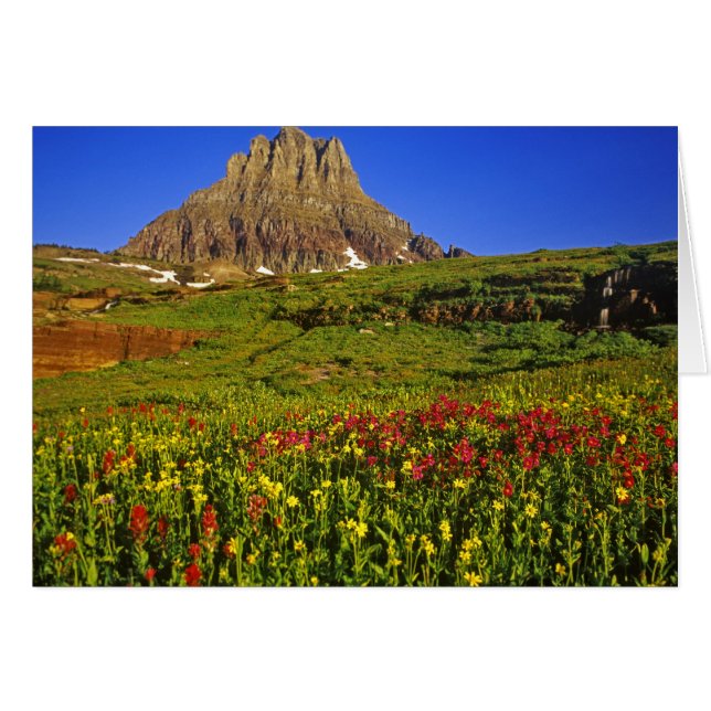 Alpblommor vid Logan Pass i Glacier Hälsningskort (Framsidan Horizontal)
