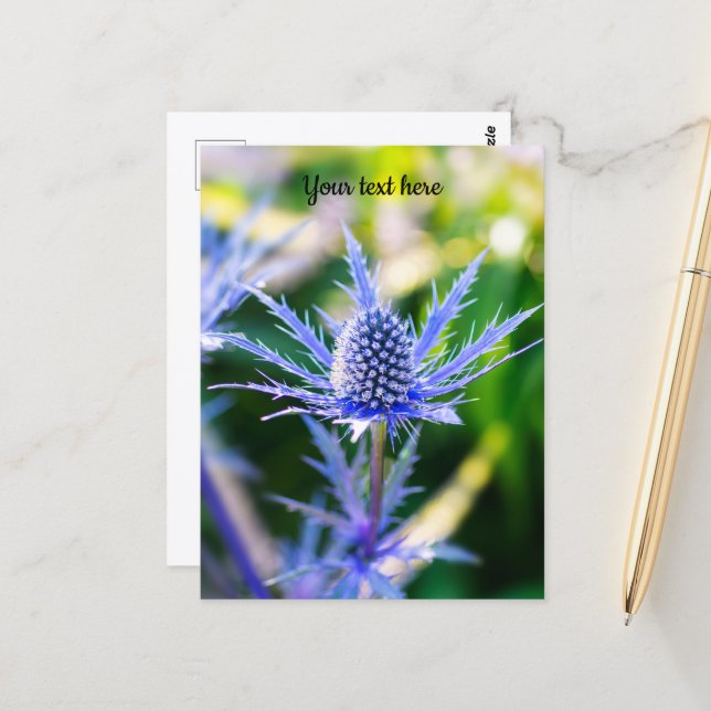 Alpen Mannstreu vykort (Fram/Back In Situ)