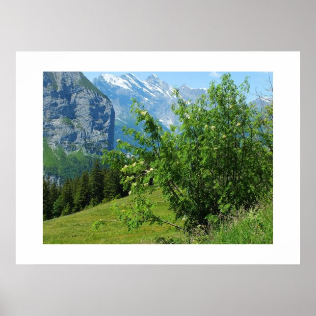 Alperna i Schweiz Poster (Framsidan)