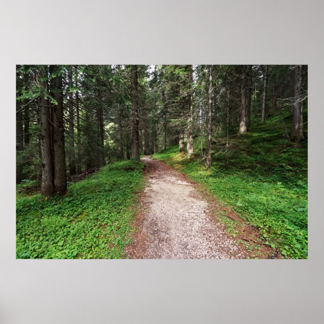 Alperna Poster (Framsidan)