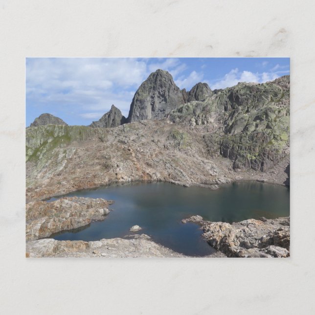 Alpernor för Lac Noir-Fransk Vykort (Framsida)