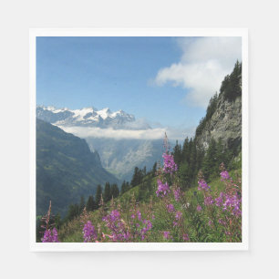 Alpernor, Schweiz Pappersservett