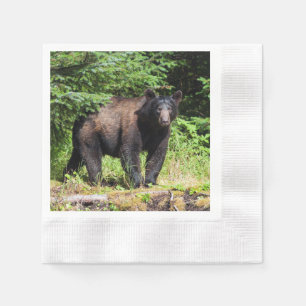 Alpha Black Bear Pappersservett