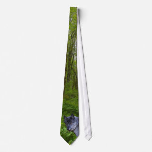 Alpha Male Grått Varg & Forest Wildlife Necktie Slips