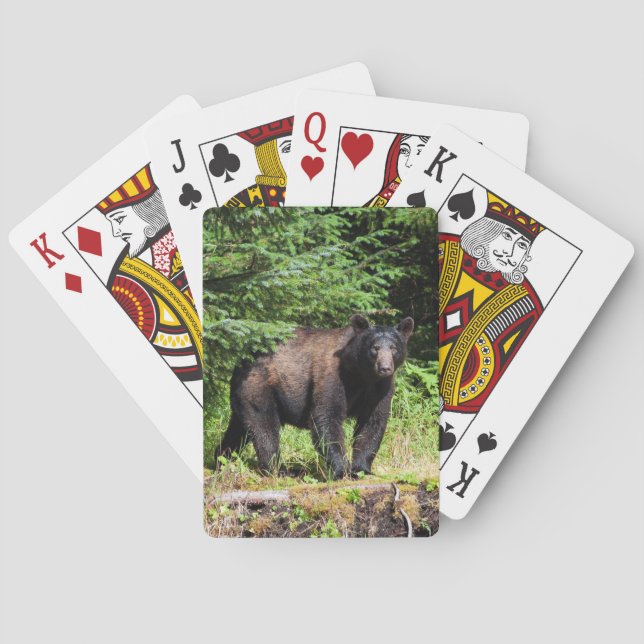 Alpha svartbjörn casinokort (Baksidan)