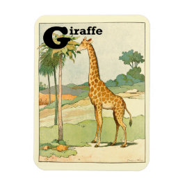 Alphabet Brev G för Giraffe Magnet