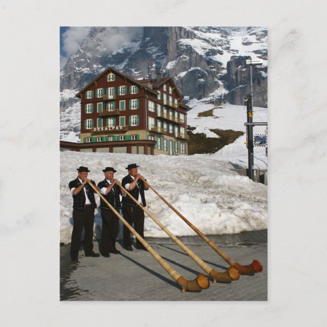 Alphorn Musician in Kleine Scheidegg Schweiz Vykort (Framsida)