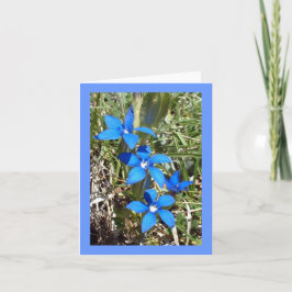 Alpin blomma för blåttGentian -- Hälsningkort Kort