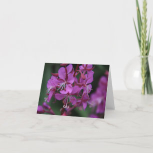 Alpin Fireweednotecard Kort