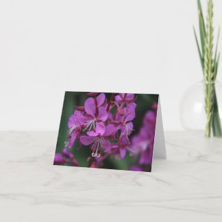 Alpin Fireweednotecard Kort