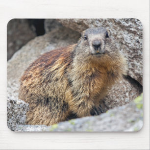 Alpin Marmot Mousemat Musmatta