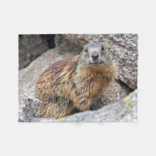 Alpin Marmotullfilt Fleecefilt
