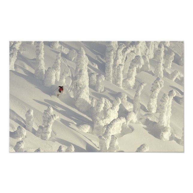Alpin skidåkare i tjock snödis vid Big Fototryck (Framsidan)