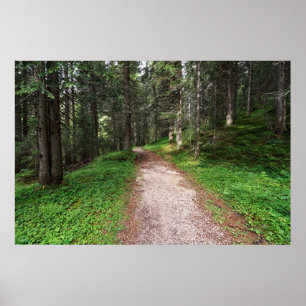 alpin skog poster