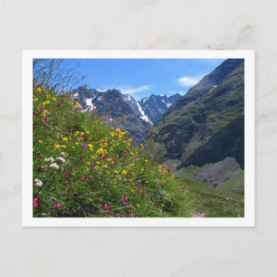 Alpin skönhet vykort