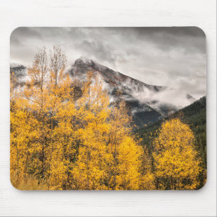 Alpin slinga Silverton, Colorado Musmatta