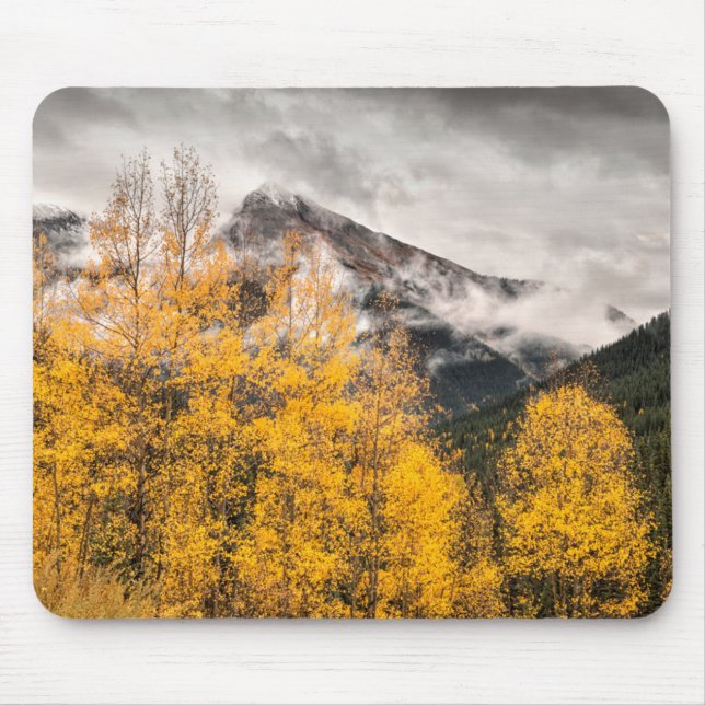 Alpin slinga | Silverton, Colorado Musmatta (Framsidan)