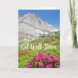 Alpina bergsscenen får ett bra kort