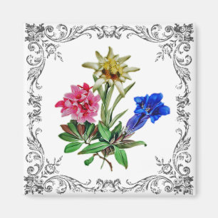 Alpina blommor magnet
