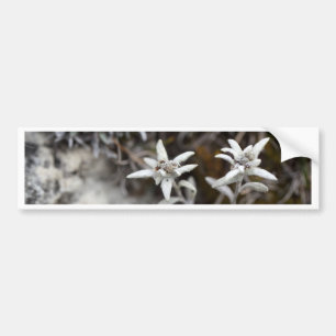 Alpina Edelweiss Bildekal