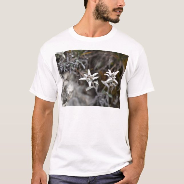 Alpina Edelweiss Tee Shirt (Framsida)