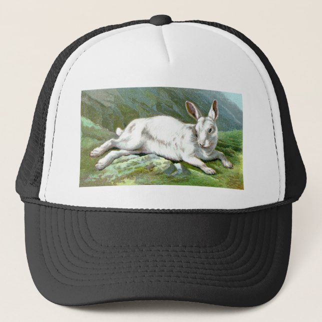 Alpina Hare Keps (Framsida)