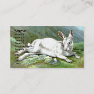 Alpina Hare Visitkort