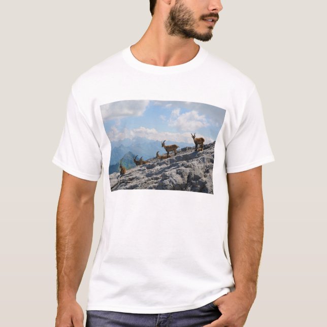 Alpina Ibexvildbergsfår T-shirt (Framsida)