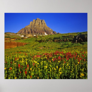 Alpina vilda blommor vid Logan Pass i Glacier Poster