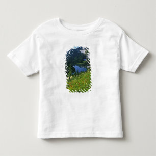 Alpina vildblommor i Jewel Basin i T Shirt