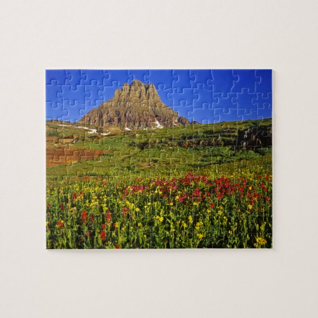 Alpina vildblommor vid Logan Pass i Glacier Pussel (Horisontell)