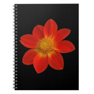 Alpine Cherub (Dahlia) Anteckningsbok Med Spiral