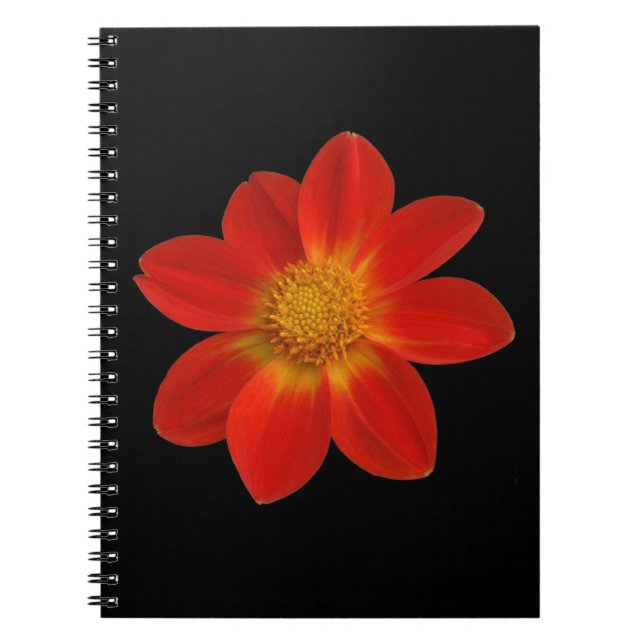 Alpine Cherub (Dahlia) Anteckningsbok Med Spiral (Framsidan)