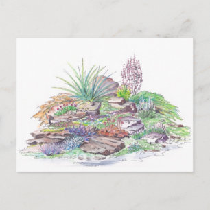 Alpine Garden Landscaping Vykort