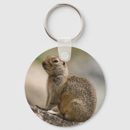 Alpine Hoary Marmot Keychain Nyckelring