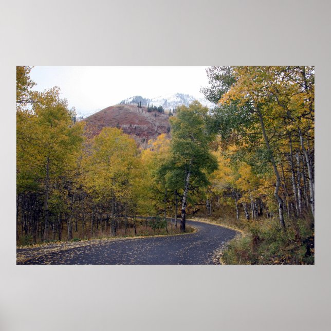 Alpine Loop Mount Timpanogos, Utah Poster (Framsidan)