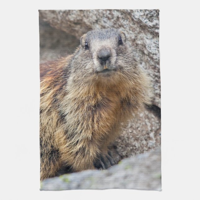 Alpine Marmot Kitchen Towel Kökshandduk (Vertikal)