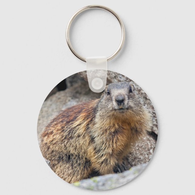 Alpine Marmot Nyckelring (Framsida)