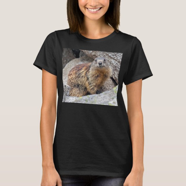 Alpine Marmot Tee (Framsida)