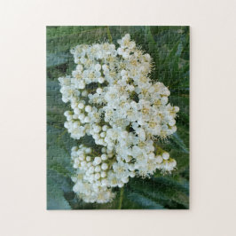 Alpine Pearl Blossoms Puzzle, 11" x 14", 252 pcs Pussel
