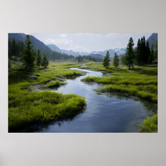 Alpine Valley Stream Green Meadows Snowy Peaks Poster