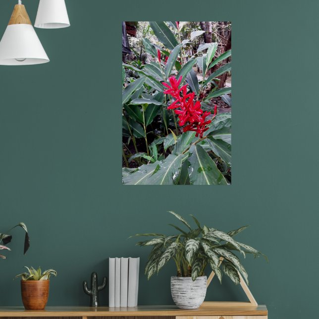 Alpínia purpurata 1 poster (Vardagsrum 1)