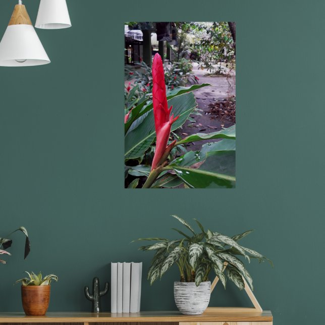 Alpínia purpurata 2 poster (Vardagsrum 1)