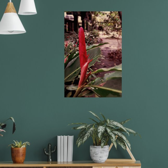 Alpínia purpurata 3 poster (Vardagsrum 1)