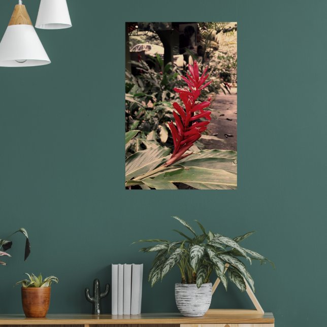 Alpínia purpurata 5 poster (Vardagsrum 1)