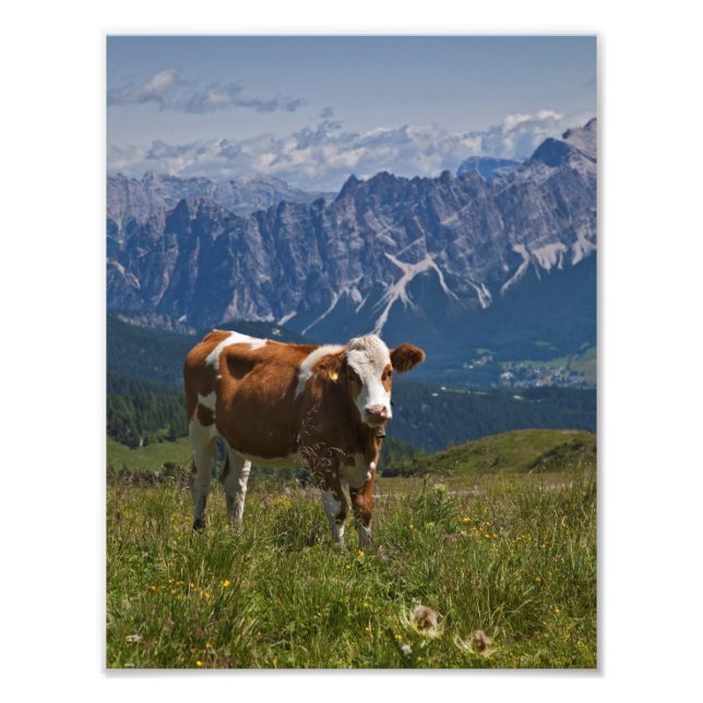 Alpko-print Fototryck (Framsidan)