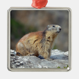 Alpmarmot sten julgransprydnad metall
