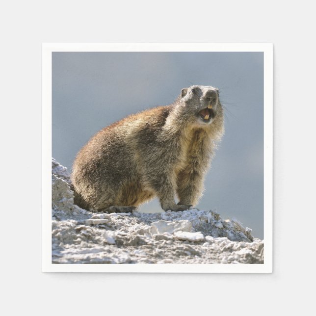 Alpmarmot sten pappersservett (Framsidan)