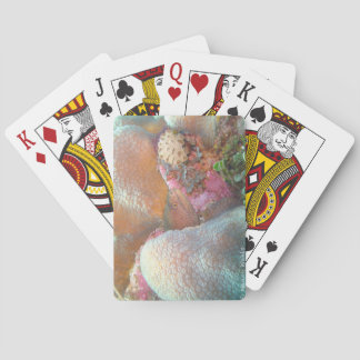 Ålpoker kort casinokort