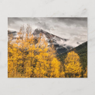 Alpreakloop   Silverton, Colorado Vykort